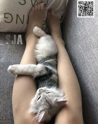 吸血鬼恋人