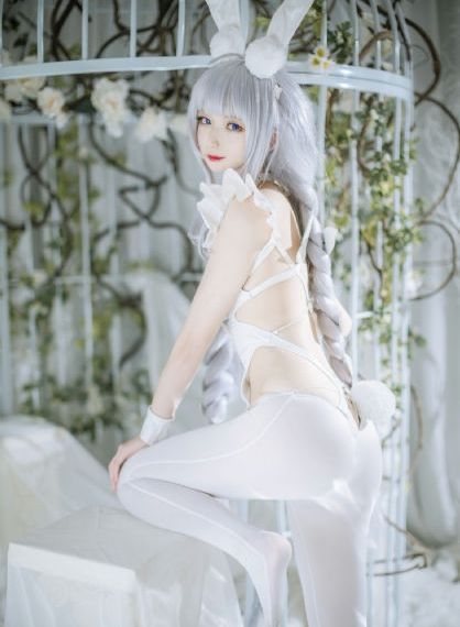 龙与虎