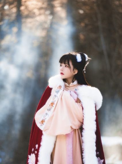 花蝴蝶4免费版大全多少集