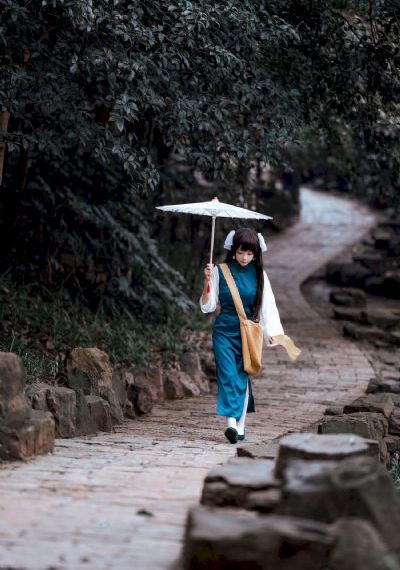 金装四大才子电视剧