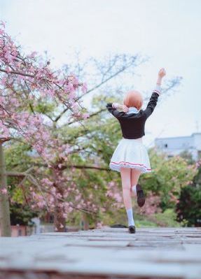 幸福花圆