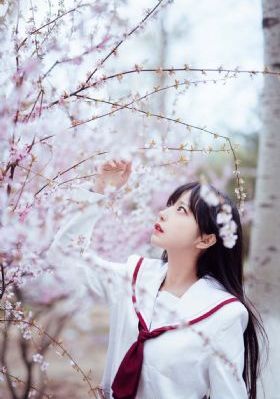 新精武门